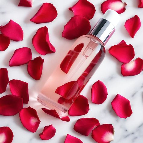 Rose Water Skin Toner Homemade Recipe: A Gentle and Fragrant Elixir for Radiant, Glowing Skin. Rose water, an elegant and timeless beauty Toner Homemade, Homemade Rose Water, Rose Water Diy, Homemade Toner, Rose Toner, Fresh Rose Petals, Rose Water Toner, Diy Rose, Diy Roses