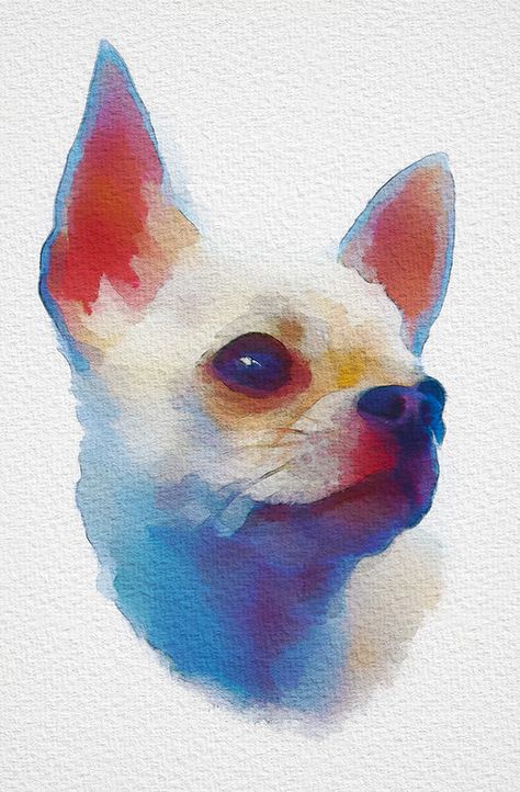 Chihuahua Art, 강아지 그림, Cute Chihuahua, Chihuahua Love, Chihuahua Dog, Watercolor Dog, Chihuahua Dogs, Digital Watercolor, Dog Drawing