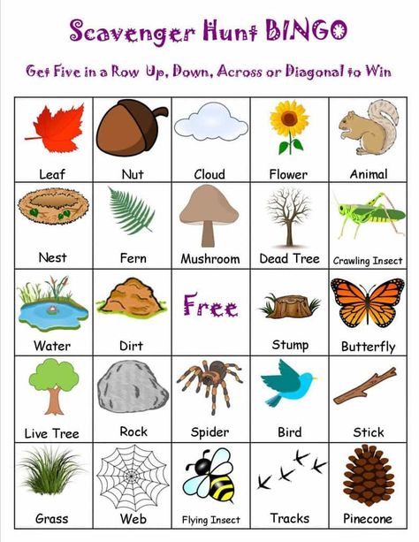 scavenger-hunt-bingo Spring Scavenger Hunt, Camping Scavenger Hunts, Oppgaver For Barn, Nature Scavenger Hunt, Printable Bingo Games, Bingo Sheets, Lake Time, Garden Fun, Scavenger Hunt For Kids