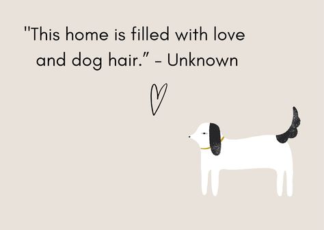 Dog Mom Quotes, Dog Lover Quotes, Hair Quotes, Board Display, Instagram Quotes Captions, A Daily Reminder, Mom Quotes, Dog Quotes, Instagram Quotes