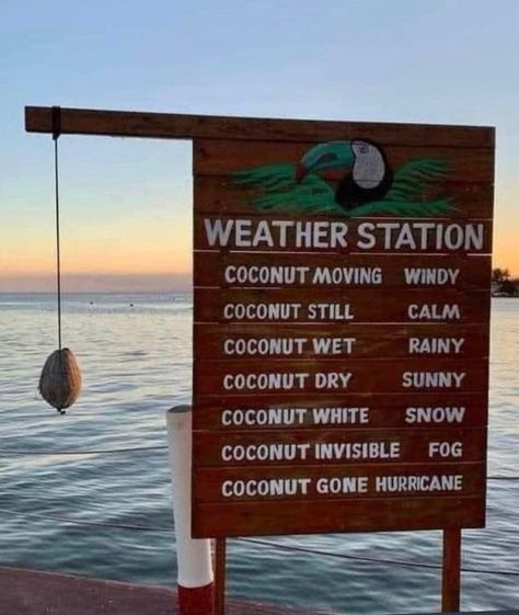 Jamie Melissa Renwick (@JamieRenwick) / Twitter Florida Weather Humor, Florida Humor, Weather Humor, Florida Funny, Florida Weather, Car Salesman, Weather Today, Tropical Weather, Sales Pitch