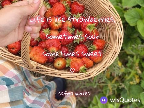 Strawberry Aesthetic Quotes, Strawberry Quotes Instagram, Fruit Quotes Inspirational, Strawberries Quotes, Strawberry Captions, Photograph Quotes, Berry Quotes, Strawberry Quotes, Meh Quotes