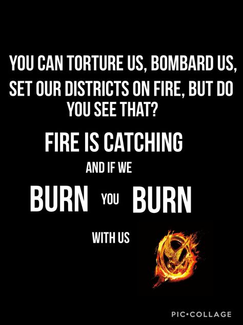 Quotes From Hunger Games, Hunger Games Quotes Inspirational, Funny Hunger Games Quotes, Katniss Quotes, Quotes Hunger Games, Hunger Games Book Quotes, Katniss Everdeen Quotes, Hunger Game Quotes, Hunger Games Quotes Katniss