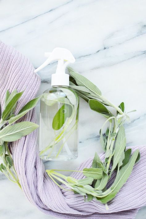 Sage is an herb thought to have a multitude of healthy home benefits. In fact, some people believe that sage can clear negative energy from a space. This DIY sage cleansing spray combines the power of natural ingredients to effectively cleanse your home with a lovely sage scent afterwards. You will want to use fresh sage for this spray. Dried sage from the spice aisle will not be as effective - or as beautiful. Ingredients you will need:1 bunch of fresh sage leaves (about 1/4 cup)… Sage Cleansing, Cleanse Your Home, Sage Spray, Homemade Bleach, Purple Cloth, Dried Sage, Smudge Spray, Cleansing Spray, Fresh Sage