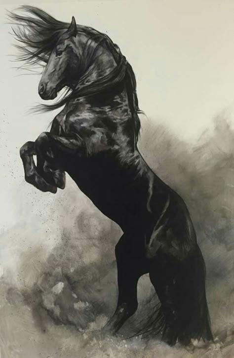 Love Black Horses, Friesian Horse, Horse Tattoo, I Love Horses, Equine Art, Black Horse, Pretty Horses, Love Horses, Horse Pictures