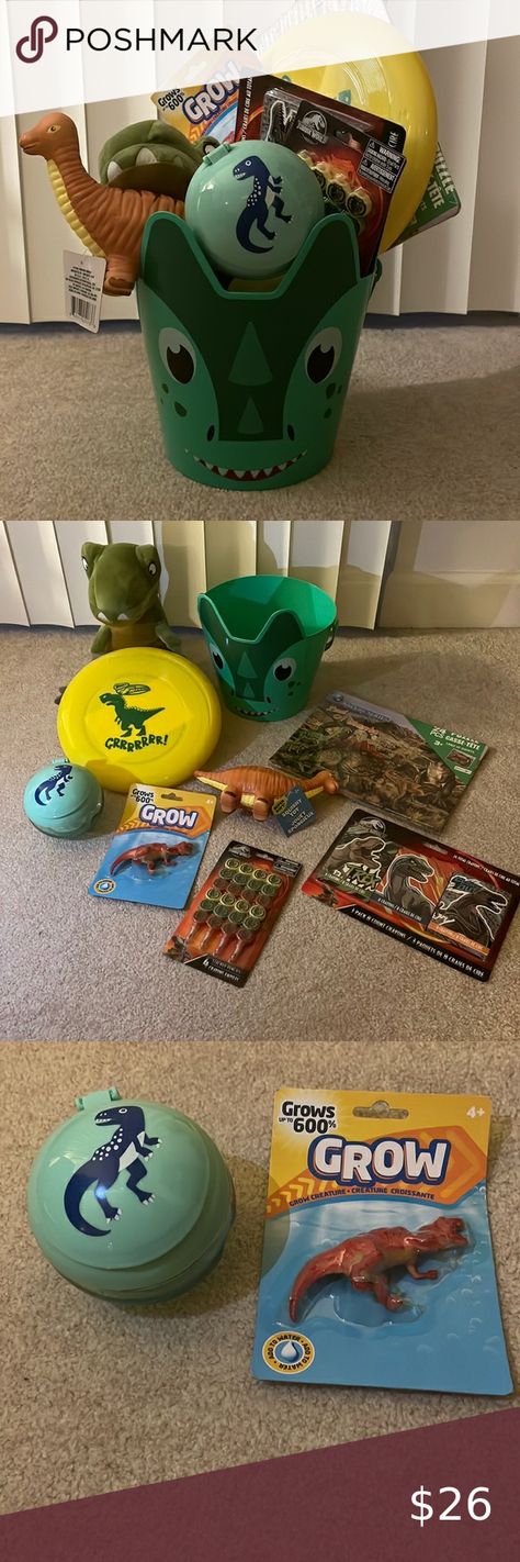 Dinosaur Easter Basket stuffed with Jurassic Park and Dinosaur goodies/no candy Dinosaur Easter Basket, Dinosaur Snacks, Pets At Home, Snack Containers, Dinosaur Plush, Easter Basket, Jurassic Park, Jurassic World, I Got You