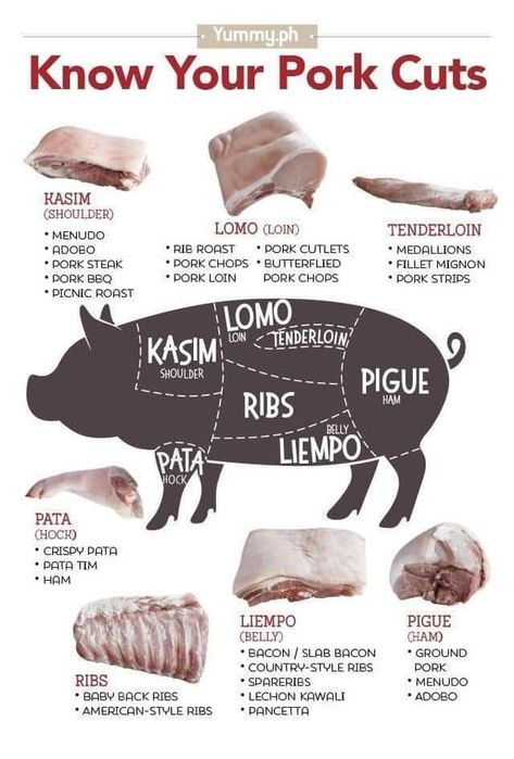 👩‍🍳👩‍🍳MASTER CHEFS OF WORLD 🏆🥙🦐🦈🇮🇳 Pork Cuts Chart, Meat Cuts Chart, Pork Parts, Picnic Roast, Pig Meat, Pork Adobo, Cut Recipe, Meat Shop, Pork Steak