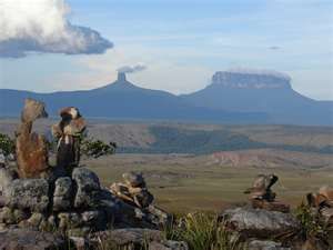 Hospedaje 100% ecológico en Venezuela Monte Roraima, Ancient Tree, Live Casino, Casino Online, Nature Travel, Amazing Nature, Tourist Attraction, South America, Monument Valley