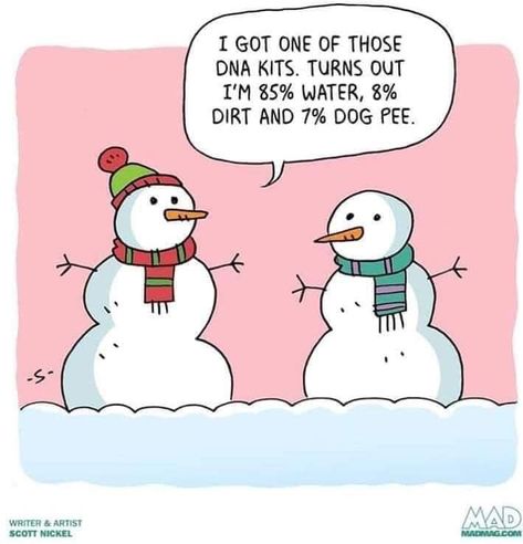 Lizzo vs snowmen 😂😂 Grinch Memes, Snowman Jokes, Funny Christmas Cartoons, Genealogy Humor, Winter Humor, Christmas Memes, Christmas Jokes, Dog Pee, Holiday Quotes