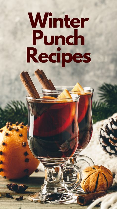 Winter Punch Recipes Warm Punch Recipes, Holiday Drinks For A Crowd, Winter Punch Alcoholic, Winter Punch Recipes, Hot Punch Recipe, Red Punch Recipes, Hot Christmas Drinks, Holiday Cider, Winter Punch