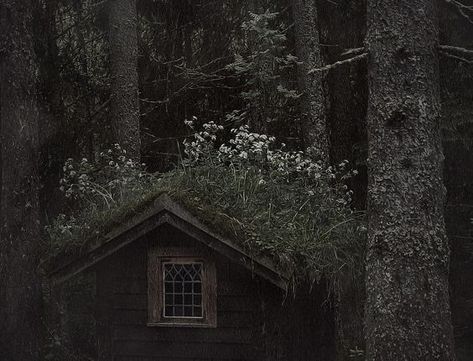 dark cottagecore - Google Search Paradis Sombre, Kakariko Village, Dark Cottage Core, Green Academia, Dark Naturalism, Dark Fairycore, Dark Green Aesthetic, Over The Garden Wall, Dark Cottagecore