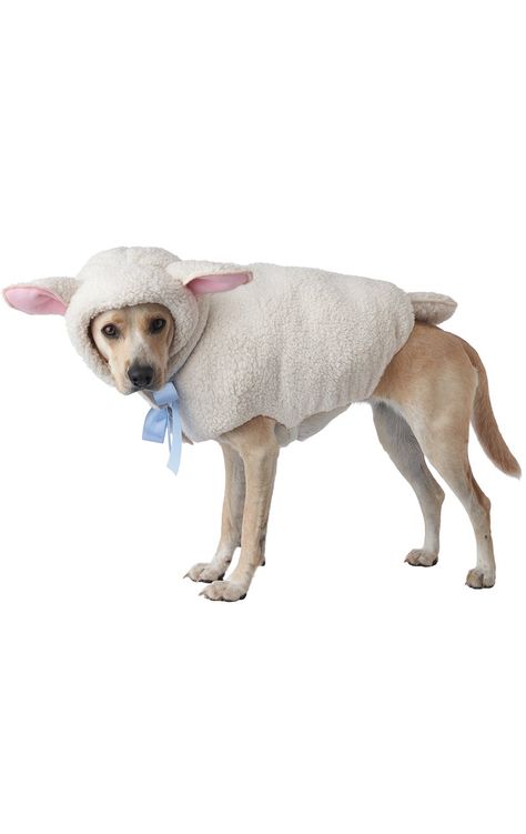 Sheep Costume, Sheep Hat, Sheep Costumes, Sheep Ears, Fancy Dress Wigs, Sheep Head, Sheep Dog, California Costumes, When Your Best Friend