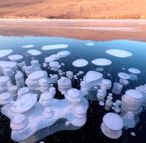 Bubbles of frozen methane seen through crystal clear ice of lake Baikal. Picture by Stanislav Tolstnev Methane Bubbles, Ice Bubble, Frozen Bubbles, Ice Lake, Bubble Pictures, Lake Baikal, Arctic Sea, Clear Ice, Frozen Lake