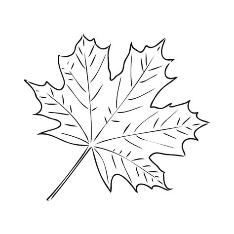 Leaf Clipart Black And White, Fall Leaf Clipart, Life Is Fleeting, Forest Sketch, Types Of Waste, Black And White Leaves, Leaf Clipart, Thanksgiving Card, Leaf Cards