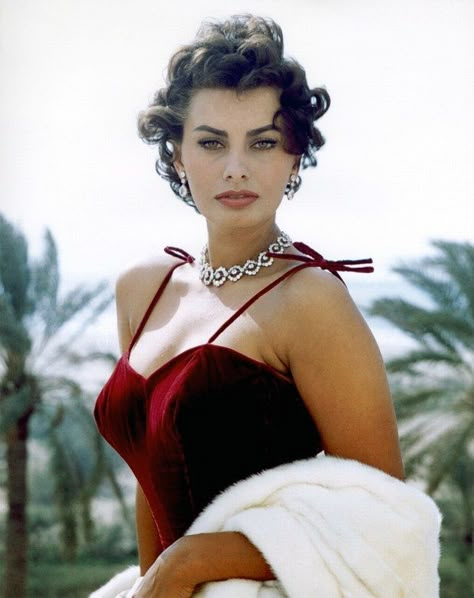 Sophia Loren’s unapologetically sensual style continues to remind women to take ownership of their curves—and their careers. The Italian actress's long-lasting career (and her array of roles) can be attributed to her tenacity and bold approach to life and style. Klasik Hollywood, Sofia Loren, Italian Actress, Monica Bellucci, Sophia Loren, Irina Shayk, Hollywood Glam, Old Hollywood Glamour, Natalie Portman