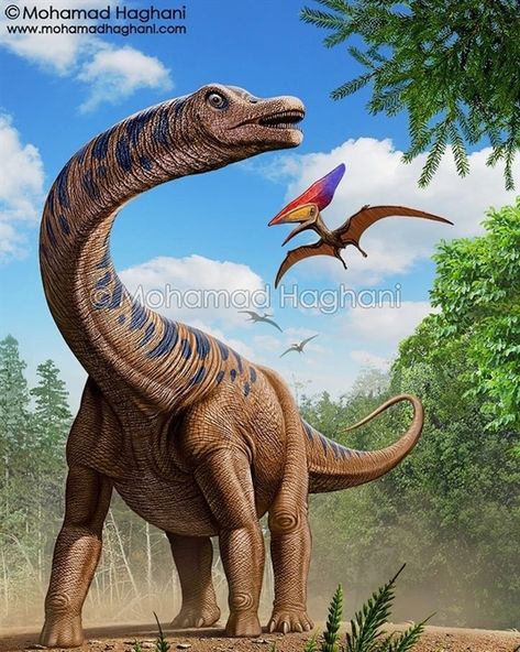 Patagotitan and Thalassodromeus by @haghani_mohamad Dinosaur Games, Prehistoric Wildlife, Dinosaur Images, Dinosaur Pictures, Art Fractal, Paleo Art, Dinosaur Bones, Extinct Animals, Dinosaur Art