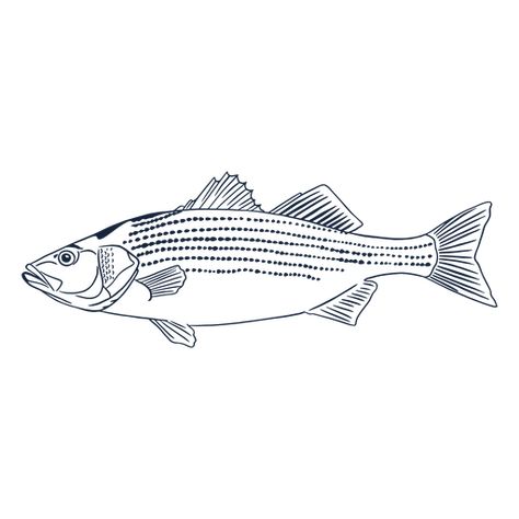 Fish profile line art PNG Design Fish Line Drawing, Fish Line Art, Fish Sides, Fish Sketch, Project Abstract, Drawing Ideas List, Line Art Vector, Fish Graphic, Fish Drawings