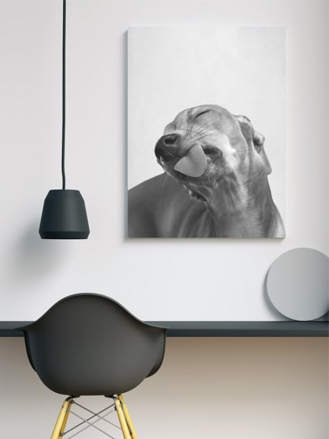 Dog Frames Ideas Wall Art, Artistic Dog Photography, Framed Dog Pictures Wall Art, Dog Picture Ideas Decor, Pet Poster Design, Dog Bedroom Ideas, Dog Frame, Dog Bedroom, Modern Minimalist Decor