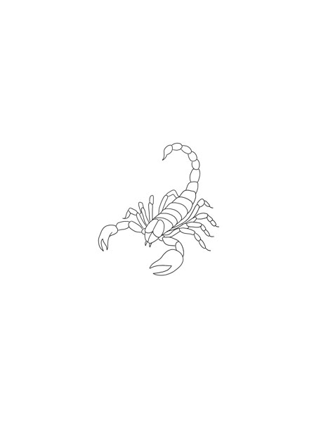 Simplistic Scorpion Tattoo, Scorpion Tattoo Fine Line, Scorpio Tattoo Stencil, Small Scorpion Tattoo Woman, Scorpion Finger Tattoo, Fine Line Scorpion Tattoo, Scorpio Tattoo Minimalist, Scorpion Tattoo Drawing, Scorpion Tattoo Stencil