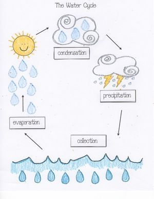 simple water cycle crafts | cycle activities, water cycle worksheet, water cycle crafts, easy ... Water Cycle Game, Water Cycle Craft, Water Cycle Lessons, Water Cycle For Kids, Water Cycle Poster, Water Cycle Project, Water Cycle Diagram, Water Cycle Activities, Water Cycle Worksheet