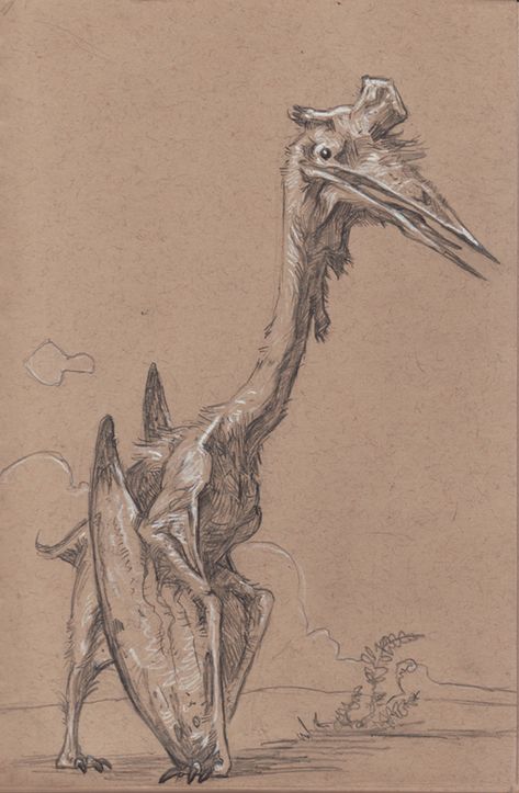 Quetzalcoatlus Drawing, Quetzalcoatlus Art, Flying Dinosaur Drawing, Pteranodon Art, Dinosaur Drawings, Prehistoric Animals Dinosaurs, Dinosaur Sketch, Prehistoric Wildlife, Dinosaur Images