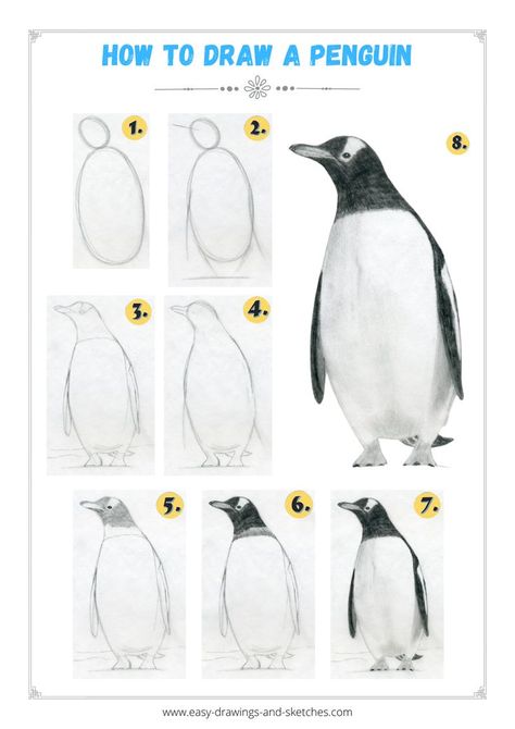 Penguin Sketch Realistic, Drawing A Penguin, Penguin Drawing Tutorial, Penguin Pencil Drawing, How To Paint A Penguin, Penguin Drawing Easy Step By Step, How To Draw A Penguin Step By Step, How To Draw Penguin, Penguin Drawing Realistic