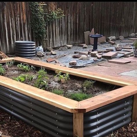 Corrugated Garden Beds, Planter Box Designs, Vego Garden, Backyard Garden Beds, Diy Raised Garden, House Yard, Box Designs, Living Off The Land, Exterior Makeover