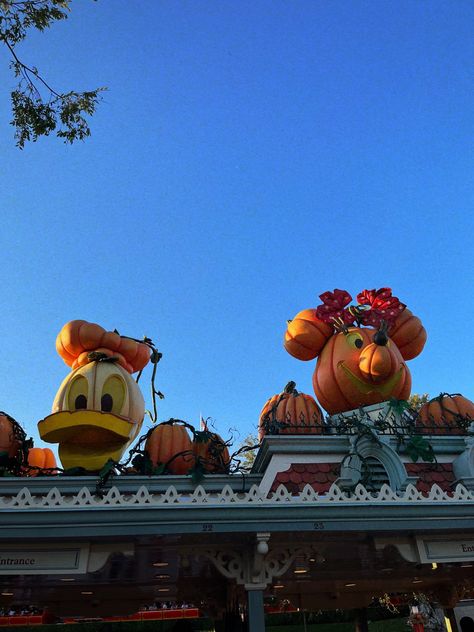 Disneyland Halloween 2024, Disney Autumn, Spooky Disney, Fall Widgets, Fall Disney, Disneyland Aesthetic, Fall Szn, Disney World Halloween, Disney Marathon