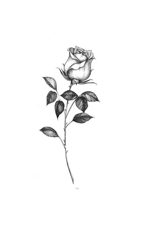 Single Rose Tattoos, Rose Drawing Tattoo, Rose Tattoos For Women, Small Rose Tattoo, Petite Tattoos, Rose Tattoo Design, Roses Drawing, Spine Tattoos, Art Tattoos