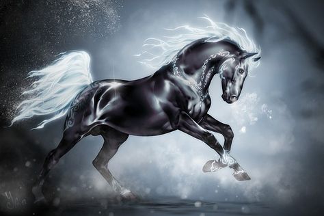 ~By Yana Goya Ghost Horse, Mythical Horses, Horse Art Drawing, Night Terrors, Mythical Monsters, Magical Horses, Mystical Animals, Fantasy Horses, Mythical Animal