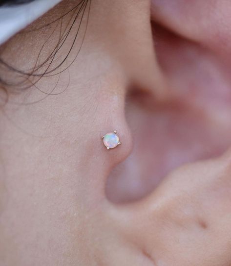 Ryan Dreyfuss | Body Piercer on Instagram: “Starting to feel like Tragus piercings are the new Septum! Fresh Tragus piercing wearing AAA White Opal 🌈” Opal Tragus Piercing, Tragus Piercing, Tragus Piercings, White Opal, Tragus, Ear Piercings, Feel Like, Piercings, Opal