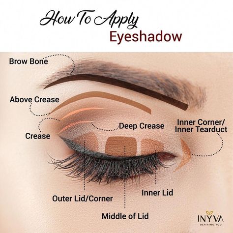 Gold Eye Makeup Step By Step, Eyeshadow Techniques Step By Step, Hooded Eye Makeup Guide, Eye Makeup Theory, Eye Shadow Steps, Makeup Theory Book, How To Apply Eye Shadow To Hooded Eyes Makeup Tutorials, Partially Hooded Eye Makeup Tutorial, Learn Makeup Step By Step How To Apply