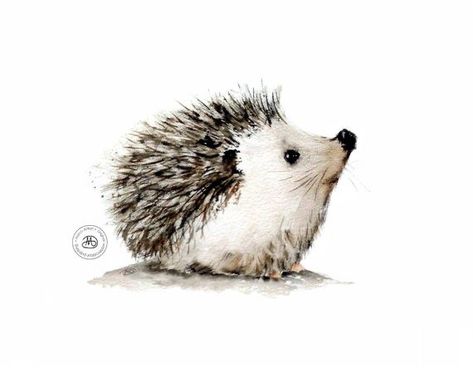 Painting Hedgehog, Hedgehog Drawing, Hedgehog Illustration, Hedgehog Print, A Hedgehog, 강아지 그림, Hedgehog Art, Cute Hedgehog, Cat Air