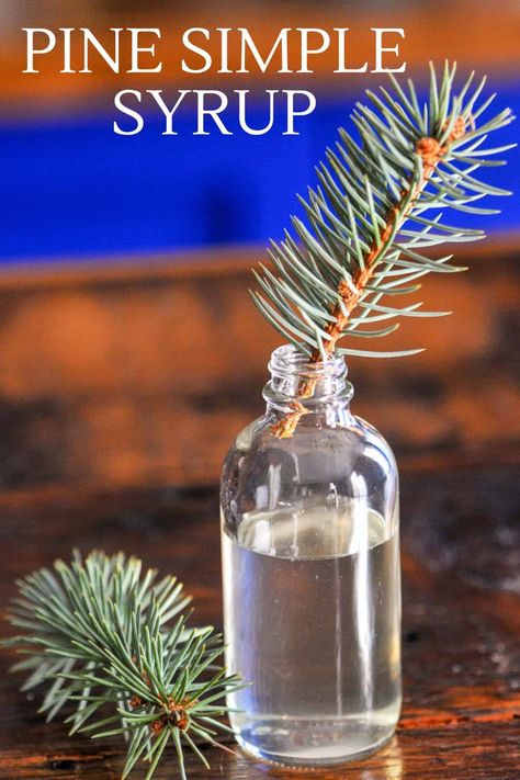 Pine Syrup, Warm Winter Cocktails, Christmas Flavors, Simple Syrup Recipe, Craft Cocktail Recipe, Low Carb Cocktails, Liquor Recipes, Alcholic Drinks, Simple Syrup Recipes