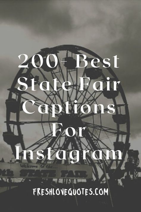 200+ Best State Fair Captions For Instagram | Fresh Love Quotes Fair Quotes Carnivals, Carnival Captions, Carnival Quotes, Carnival Quote, Fair Captions Instagram, Cute Insta Captions, Fair Quotes, Summer Instagram Captions, Park Quotes