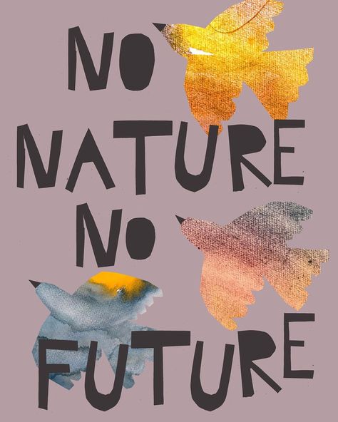 Buttablume on Instagram: “#climatechange#climatestrike#nonaturenofuture#birds#peace#gretathunberg# @gretathunberg…” Environmental Quotes, Save Planet Earth, Protest Posters, Save Our Earth, Protest Art, Green Life, Save Earth, Save The Planet, Earth Day