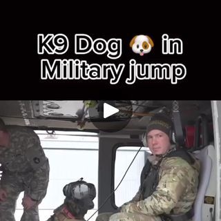 74K views · 4.1K reactions | #dogtraining #military #dogs #k9unit #k9 #army #foryou #viral #dogmilitary #trending #fyp | K9 Dog Training | K9 Dog Training · Original audio K9 Training, K9 Dogs, K9 Unit, Military Dogs, Training Videos, Training Video, Dog Training, Audio, Train