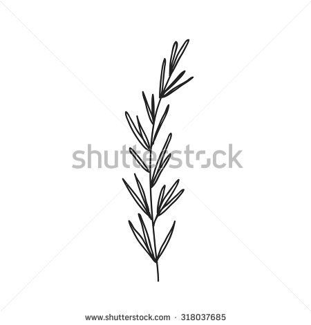 Rosemary Tattoo, Herb Tattoo, Forever Tattoo, G Tattoo, Branch Tattoo, Ocean Tattoos, O Tattoo, Plant Tattoo, Rosemary Sprigs