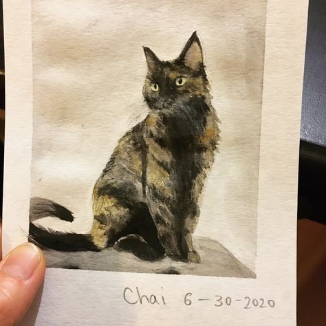 Tortoise Shell Cat Drawing, Tortoise Cat Drawing, Tortoiseshell Cat Drawing, Tortoiseshell Cat Art, Tortoise Cat, Personal Narrative, Tortoise Shell Cat, Watercolor Cat, Tortoise Shell