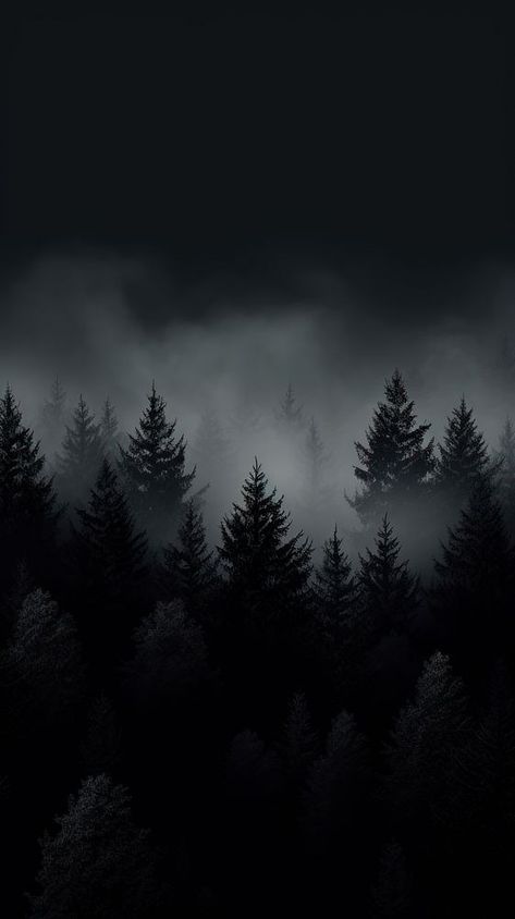 Forest outdoors nature plant. AI generated Image by rawpixel. | premium image by rawpixel.com Black Black Wallpaper, Black 4k Wallpaper, Wallpaper Black Dark, Dark Forest Background, Dark Iphone Wallpaper, Iphone Wallpaper Mountains, Full Black Wallpaper, Iphone Wallpaper Dark, Iphone Wallpaper Black