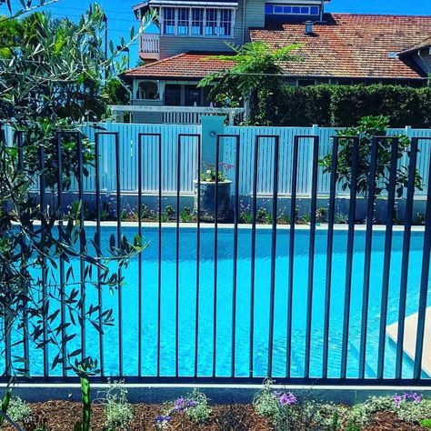 Metal Pool Fence, Pool And Outdoor Kitchen Ideas, Pool Fences, Metal Pool, Pool Gate, Outdoor Pool Area, Pool Landscape Design, Fence Screening, Modern Pools