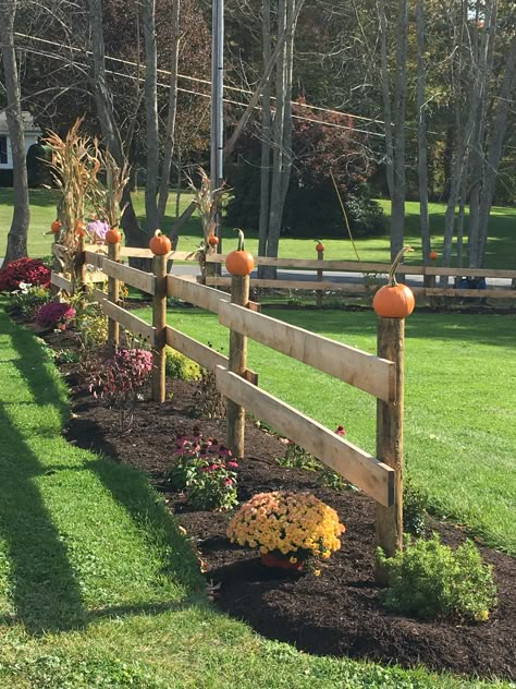 Wooden Fence Diy, Country Backyard Ideas Landscaping, Fall Fence Decor, Split Rail Fence Decorating Ideas, Fall Fence Decorating Ideas, Country Fence Ideas, Farm Yard Landscaping, Country Yard Landscaping, Split Rail Fence Landscaping