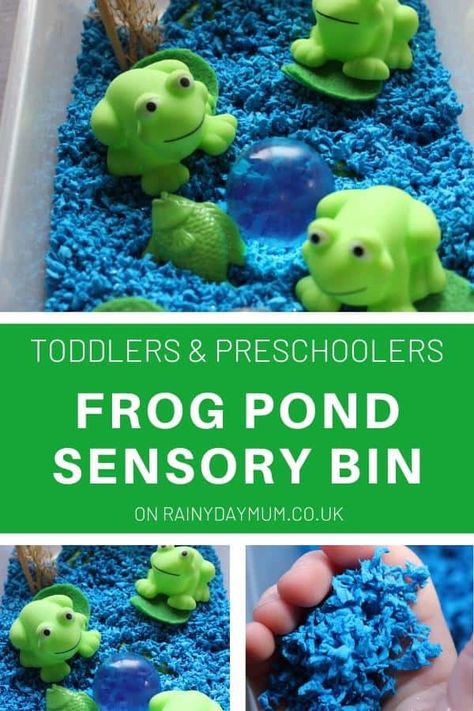 An easy to set up frog pond sensory bin to accompany the nursery rhyme Five Little Speckled Frogs for some small world play. 5 Green And Speckled Frogs Activities, Frog Pond Sensory Bin, Pond Life Activities For Infants, Pond Life Sensory Bin, Five Speckled Frogs Activities, Reptile Sensory Bin, Nursery Rhymes Sensory Bin, World Nursery Rhyme Week, 5 Speckled Frogs Activities