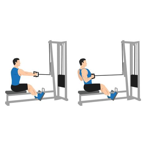 Man doing Seated Low cable back rows exercise. Flat vector illustration isolated on white background Back Rows Exercise, Rows Exercise, Back Rows, Stiff Leg Deadlift, Cable Row, Back Row, Flat Vector Illustration, Happy New Year Wishes, Flat Vector