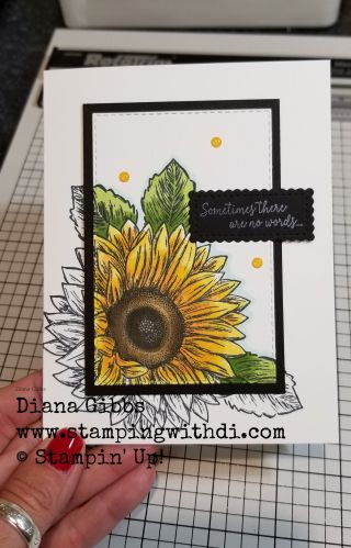 Sunflower Cards, Ctmh Cards, Frame Card, Stamping Up Cards, Thanksgiving Cards, Fall Cards, Card Layout, Card Kit, Floral Cards