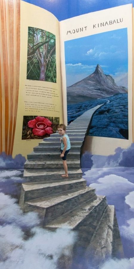 3d Art Museum, Art Museum Aesthetic, Langkawi Malaysia, Museum Aesthetic, Art And Painting, 3d Painting, Tropical Island, Diy Art Painting, Art Display