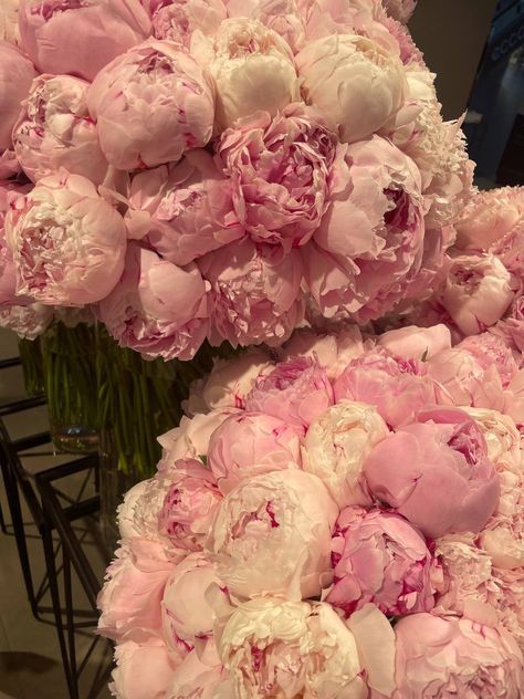 Pioneses Flowers, Peony Flower Aesthetic, Cute Birthday Pictures, Boquette Flowers, Peony Wedding, Flower Bucket, Pink Garden, Flower Therapy, Beautiful Bouquet Of Flowers