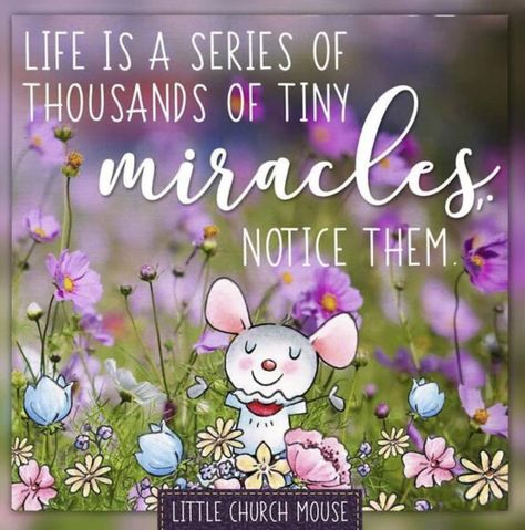 Little Church Mouse, Mouse Quotes, God's Glory, Inspirational Qoutes, Get Closer To God, Little Mouse, Biblical Inspiration, How He Loves Us, Special Words