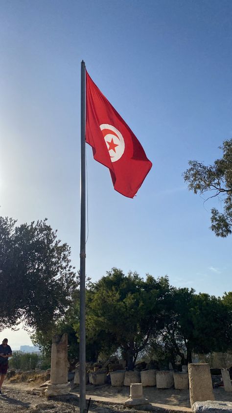 Tunisian Flag, Tunisia Flag, Yemen Flag, Art Spatial, Tunisia, Iraq, Flag, Quick Saves