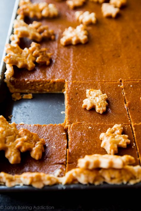 Perfectly creamy and spiced pumpkin slab pie to feed a crowd! Recipe on sallysbakingaddiction.com Pumpkin Slab Pie Recipe, Pumpkin Slab Pie, Buttery Flaky Pie Crust, Slab Pie Recipes, Mini Key Lime Pies, Apple Slab Pie, Slab Pie, Keylime Pie Recipe, Pumpkin Pie Bars